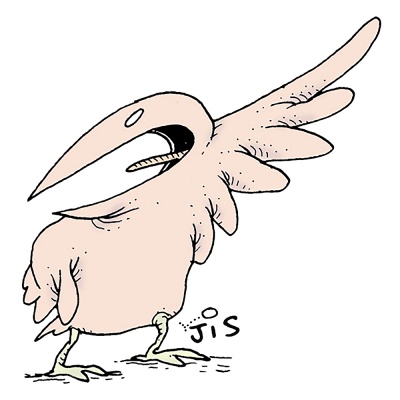 ODMX #14: Pájaro